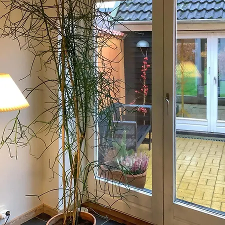 With Patio Xi 度假居 阿森斯